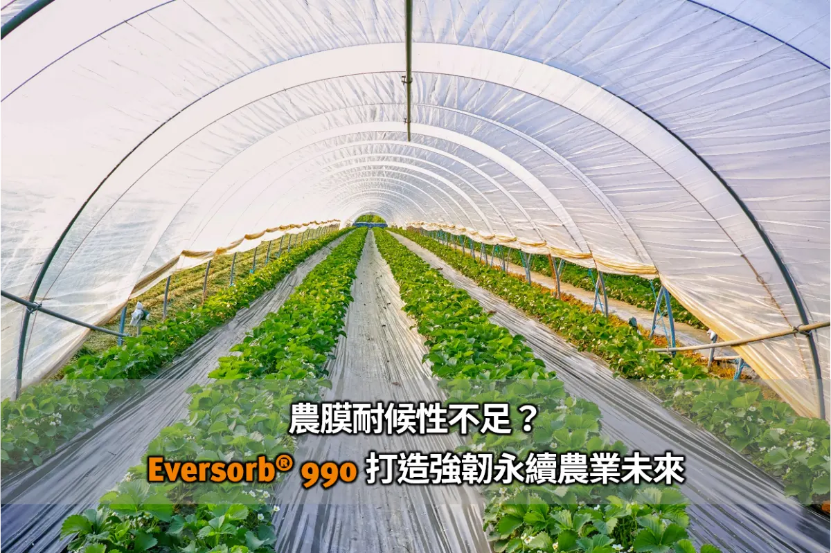 農膜耐候性不足？Eversorb 990 打造強韌永續的農業未來